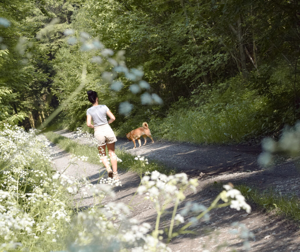 Startseite DSC 0150 2 1024x858